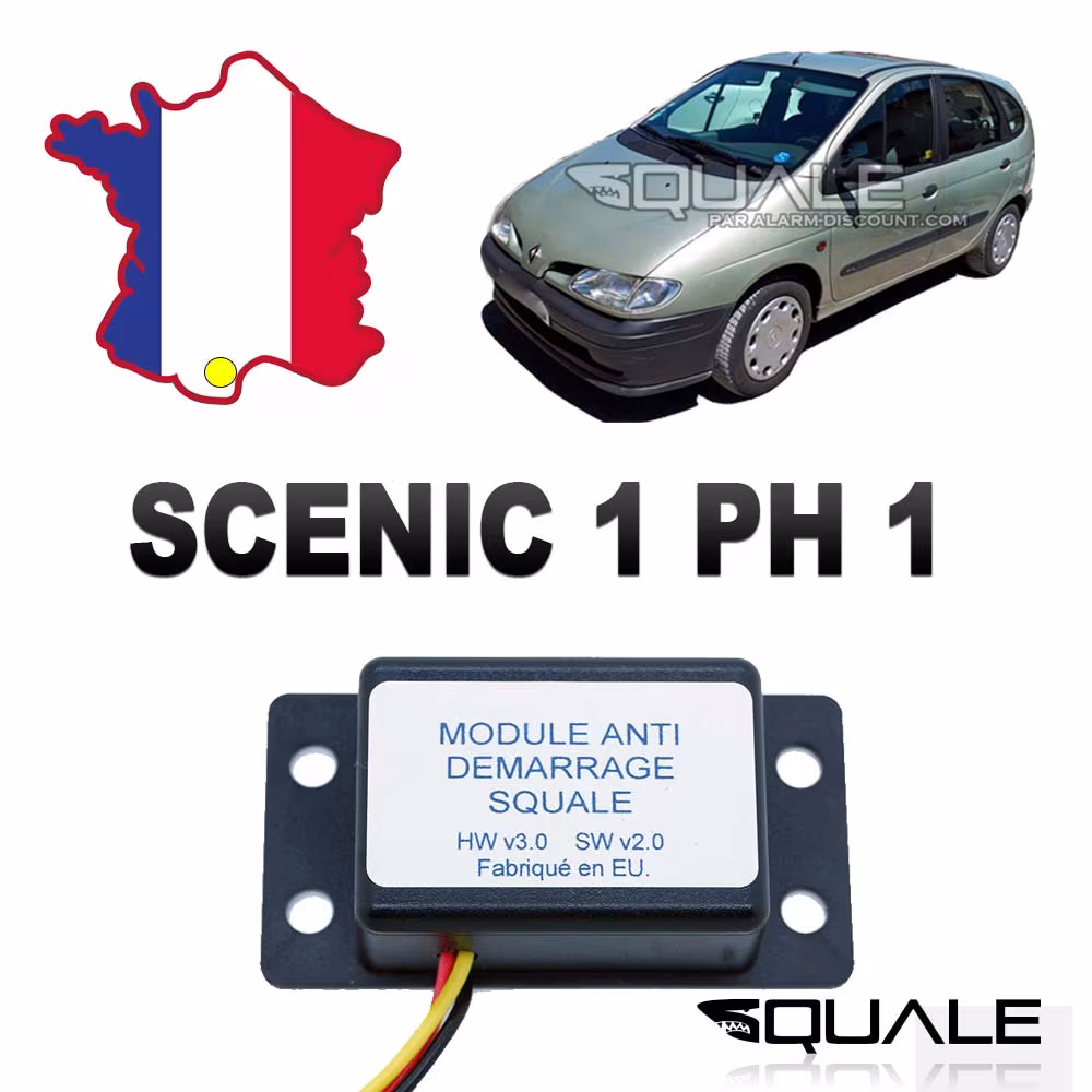 Modulo di disattivazione dell'antifurto RENAULT SCENIC 1 FASE 1